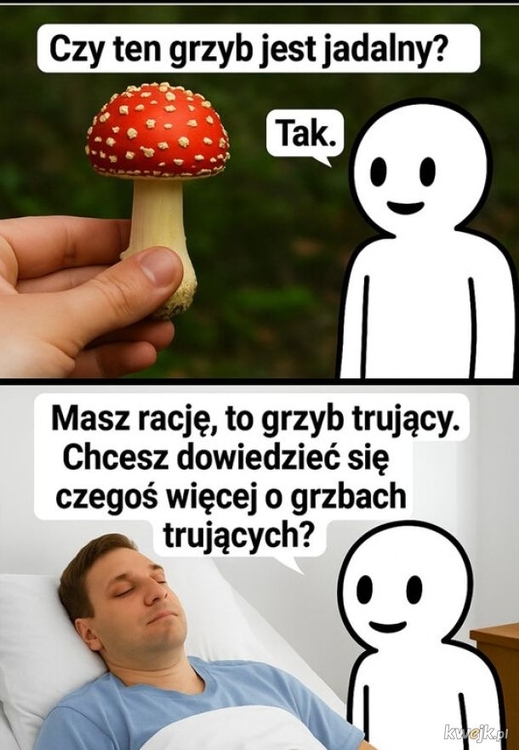 Grzyb.jpg
