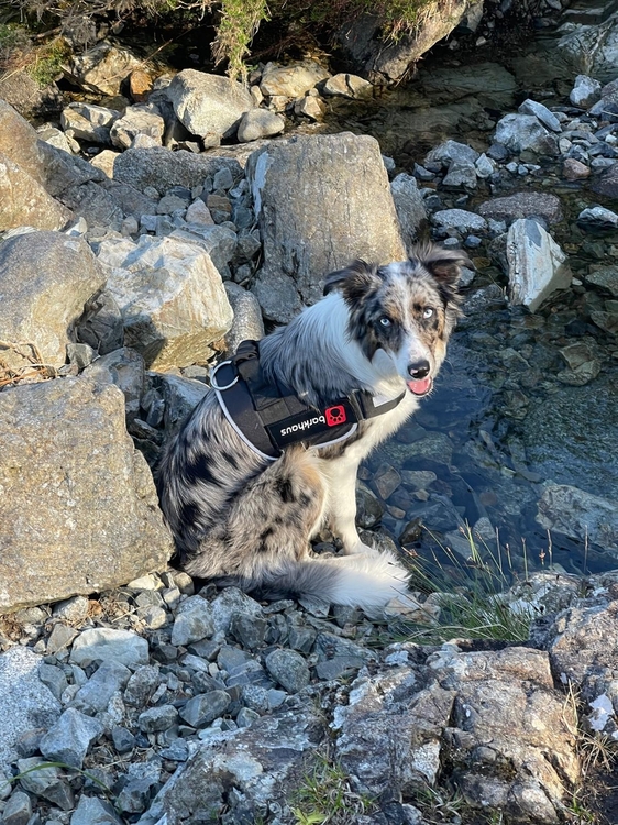 WhatsApp Image 2026-01-25 at 09.22.51.jpeg