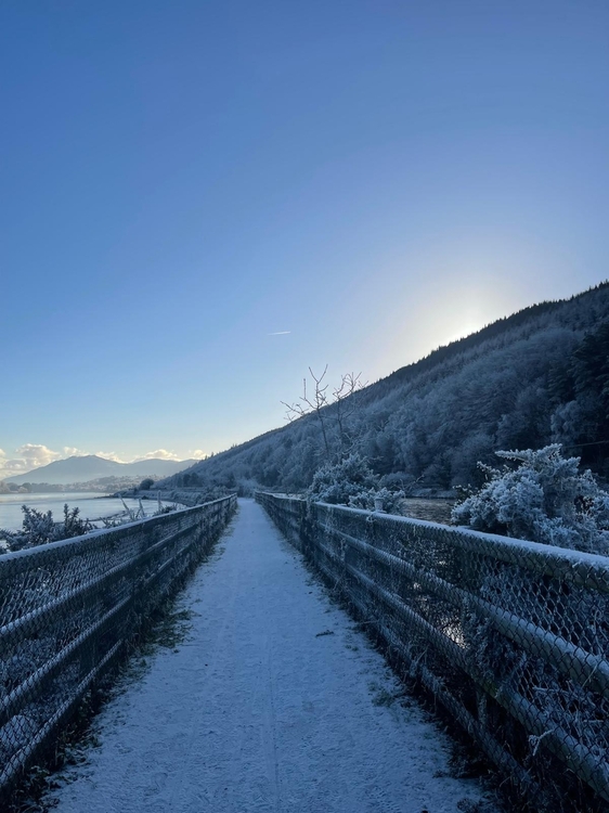 WhatsApp Image 2026-01-25 at 09.18.22.jpeg