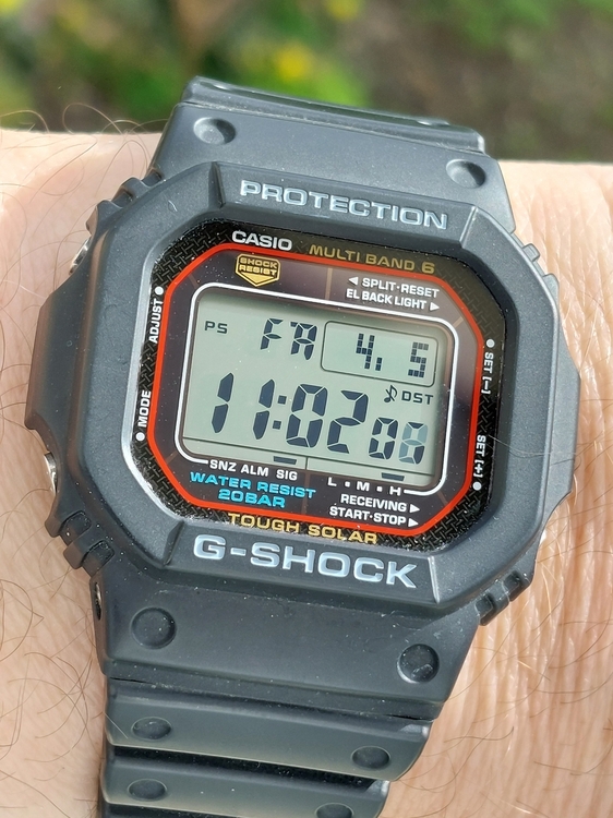 20240405_110206.jpg