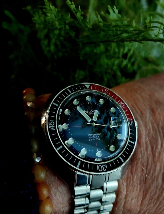 20260123_125402.thumb.jpg.58d4d977298d3a6fa86a585b5dade868.jpg