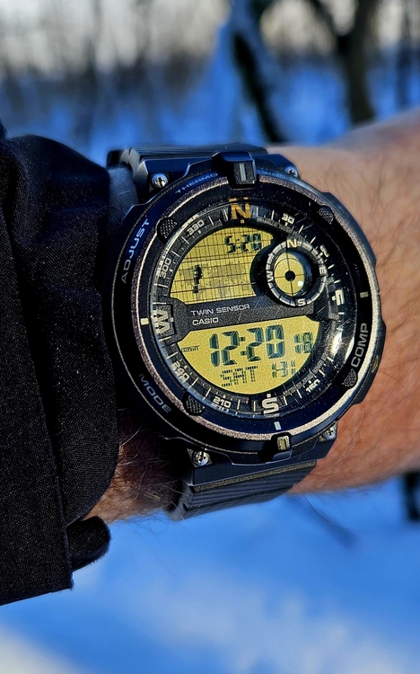 20260131_122019.thumb.jpg.c0b064191d27a95bb44ed30fdee75af1.jpg
