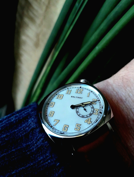 20260201_140948.thumb.jpg.cede603f1712163c2c7d2346e4757c8e.jpg