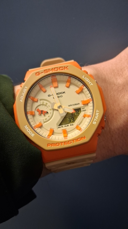 IMG-20260212-WA0000.jpeg