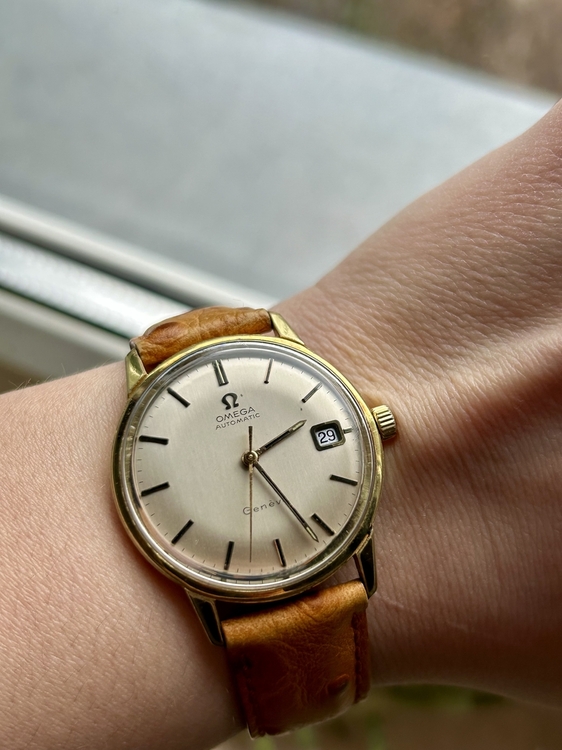 IMG_6406.jpeg