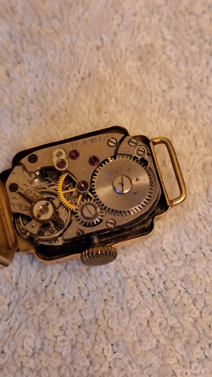 20260226_162100.jpg