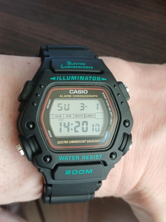 20260301_141924.jpg