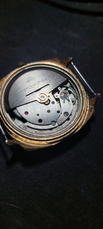 20260320_210413.jpg
