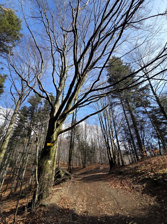 20260321_093641.jpg