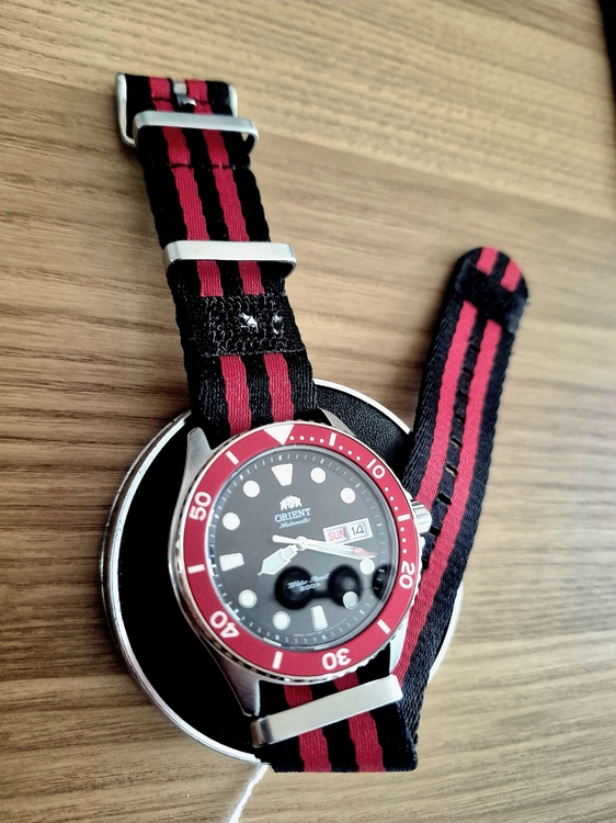 20260324_135047.thumb.jpg.0a7ccaaadeabd0be9140064c568ce059.jpg