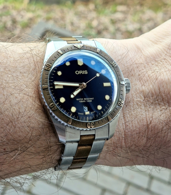 20260331_074648.jpg