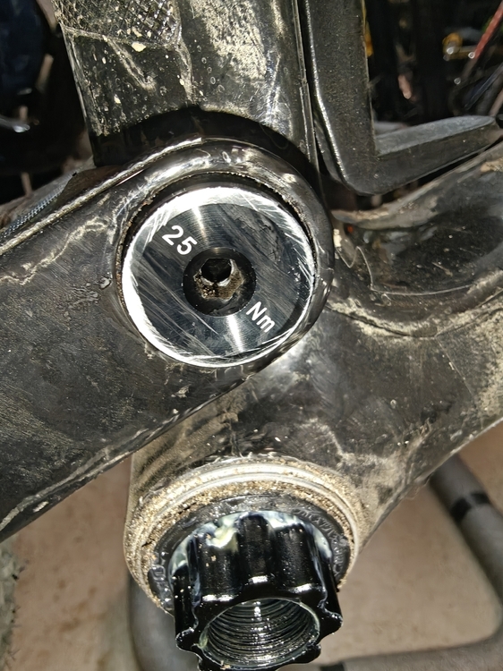 IMG20260321195914.jpg