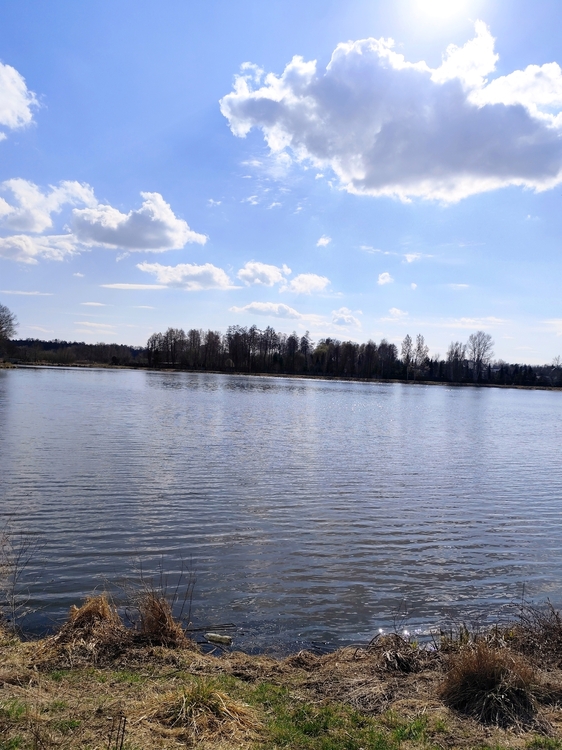 IMG_20260322_152011.jpg