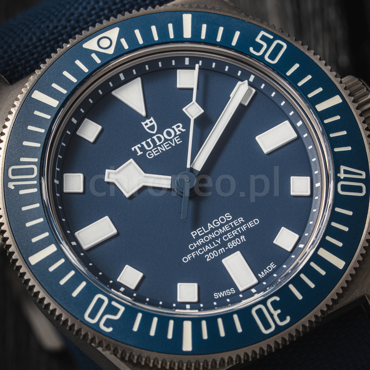 Pelagos-7.jpg