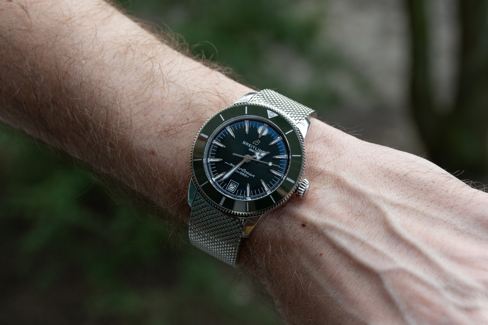 _DSC3080.thumb.jpg.29fca6a7ff9a7762e495cb9f2ff151d5.jpg
