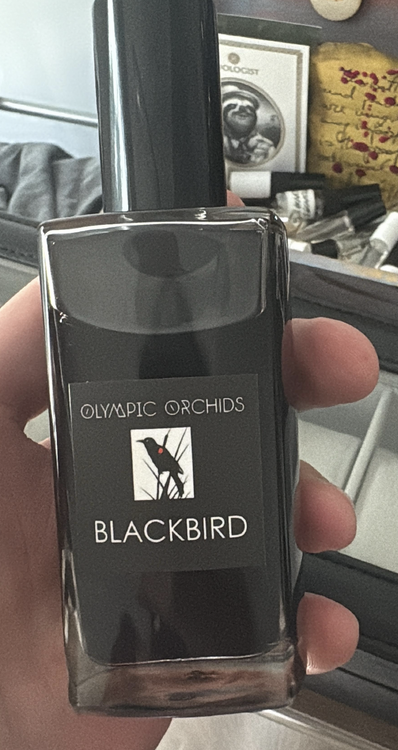 b bird.png