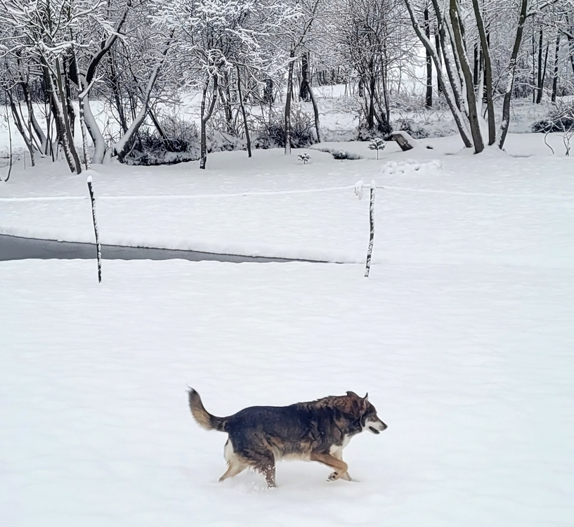 20240102_114843.jpg