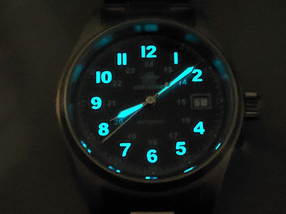 20260401_080838.jpg