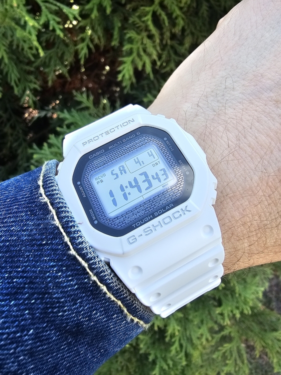 20260404_114343.jpg