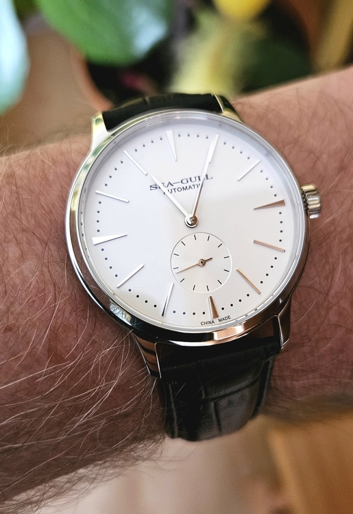 20260405_110440.thumb.jpg.9a744ace41567b5eeb86406af8e68db6.jpg