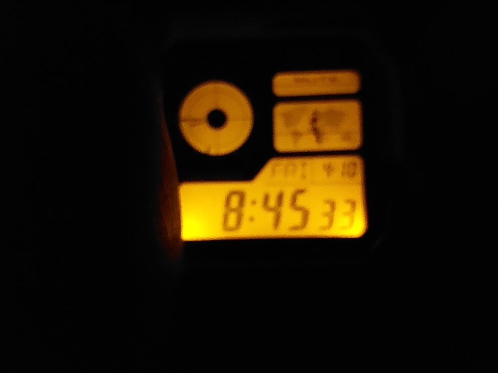 20260410_084607.jpg