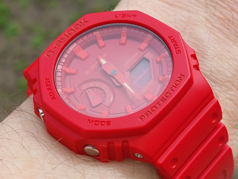 20260412_123035.jpg