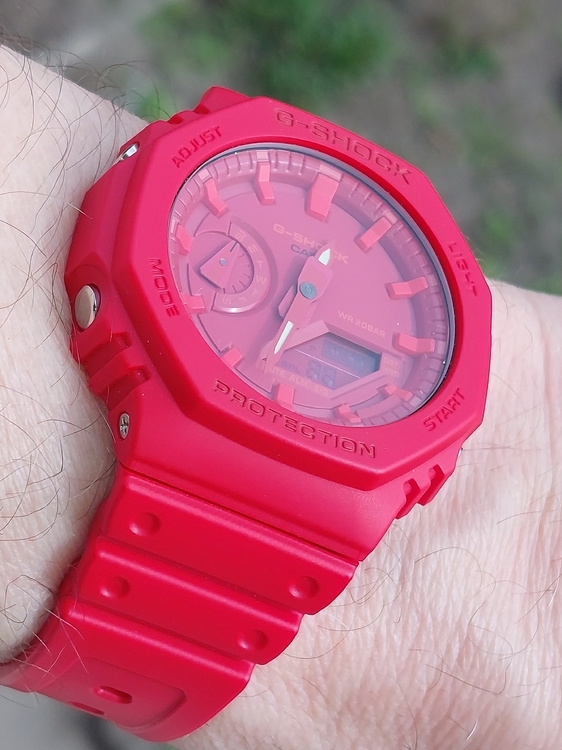20260412_123051.jpg