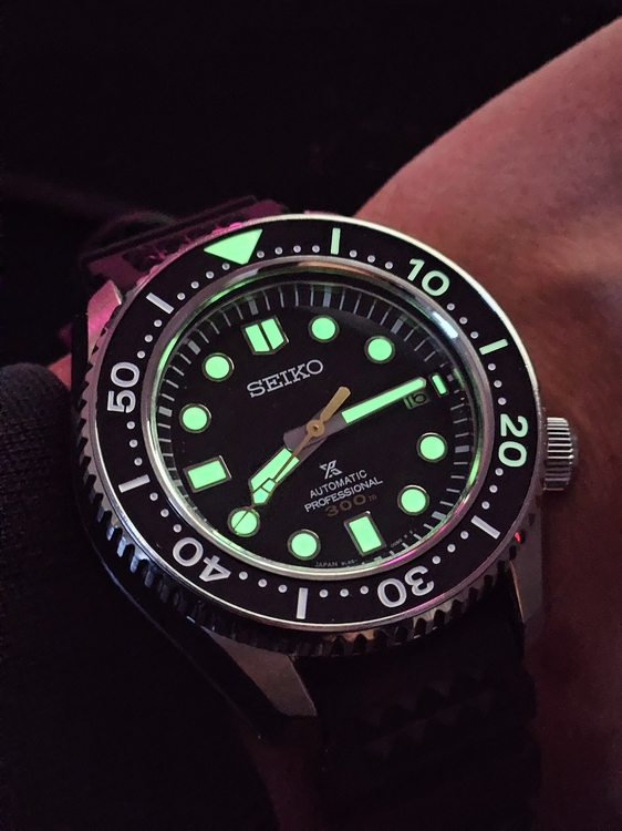 20260416_201439.jpg