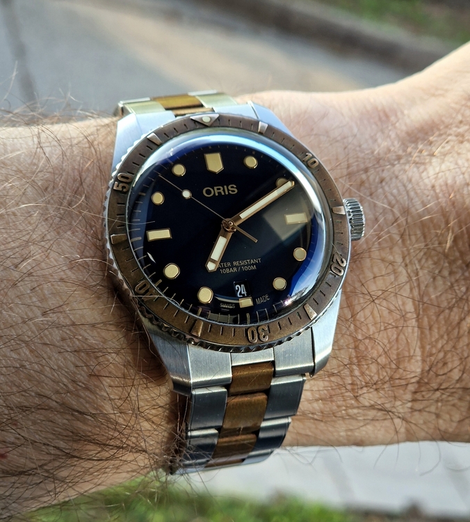 20260424_071128.jpg