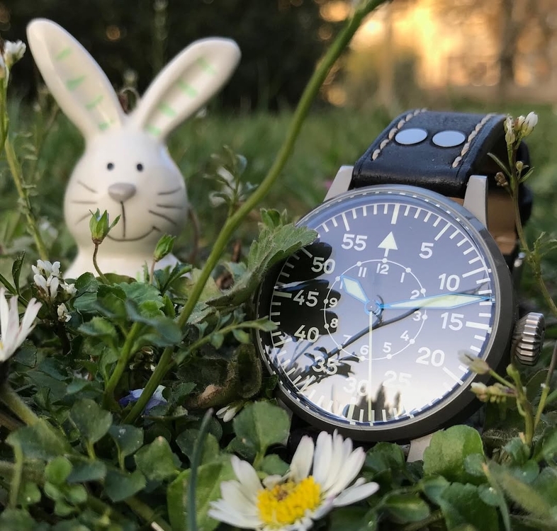 Happy Easter from the Laco Team! 🐣🤗.jpg