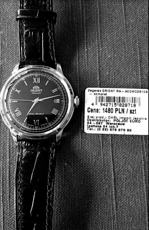 Orient Bambino.jpg