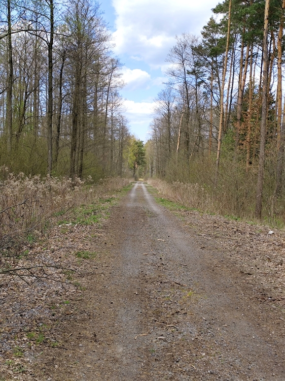 IMG_20260419_170118.jpg