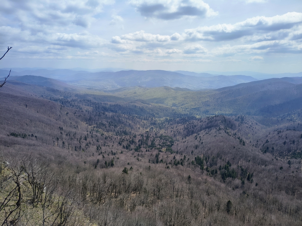 IMG_20260425_131226084_HDR_AE.jpg