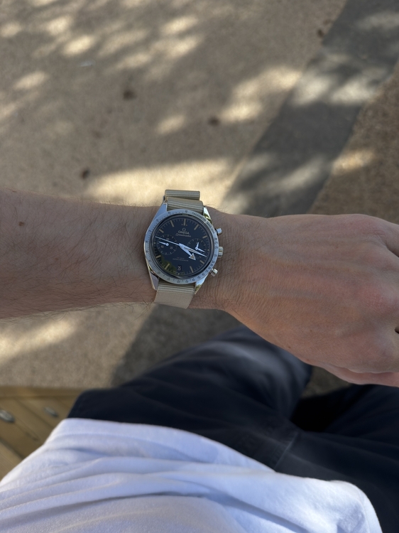 IMG_4993.thumb.jpeg.2939f09eefbc3948b84eaffb43d6825d.jpeg