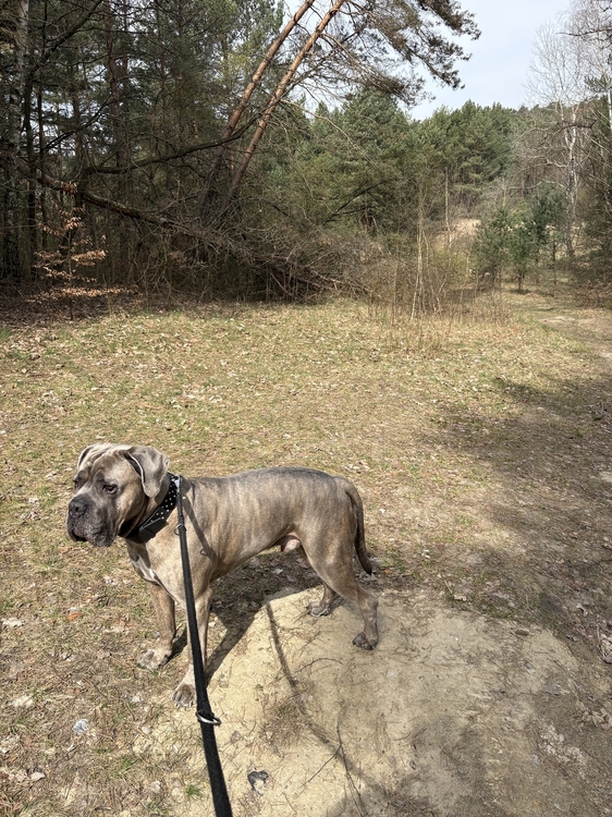 IMG_5851.jpeg