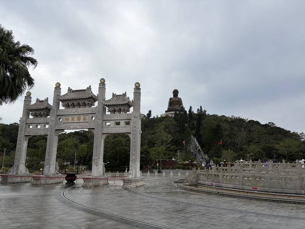 IMG_6242.jpeg