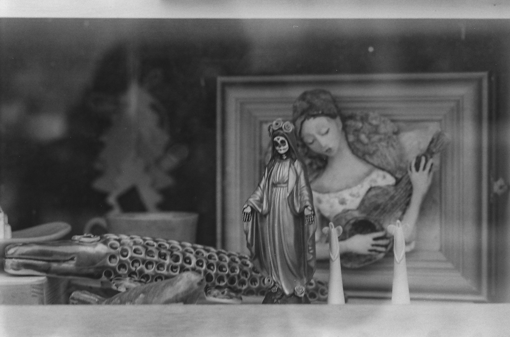 XD7 Fomapan 200 5 reflex witryna Matka Mexico.jpg