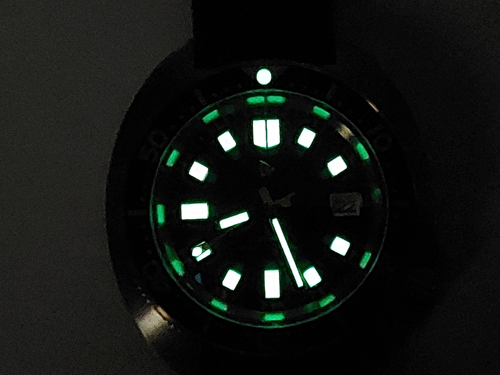 20241022_082633.jpg