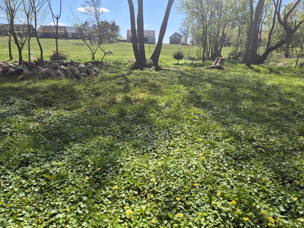 20260501_115712.jpg
