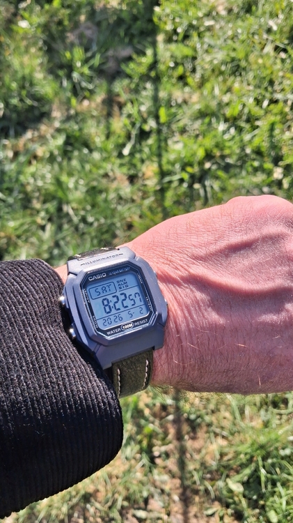 20260502_082257.jpg