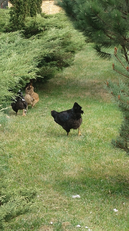 20260506_150729.JPG
