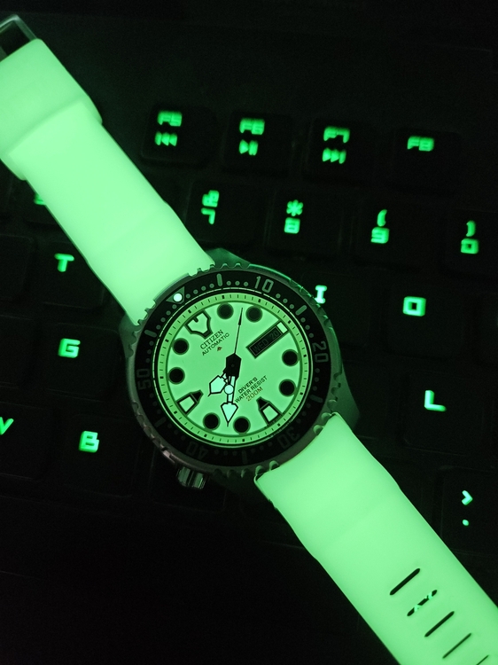 20260520_203732.jpg