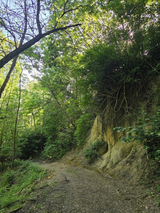 20260529_162002.jpg