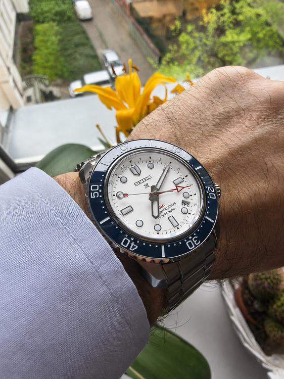 seiko 11.png