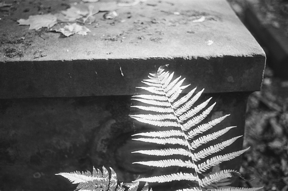 pentax cementery 13.jpg