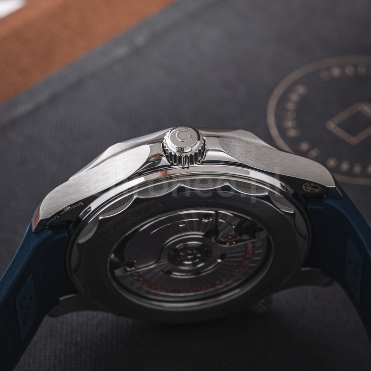 SMP 300 Grey-8.jpg