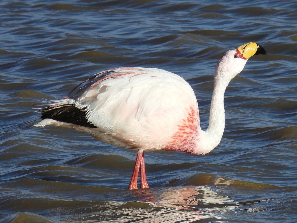 DSCN5532.JPG