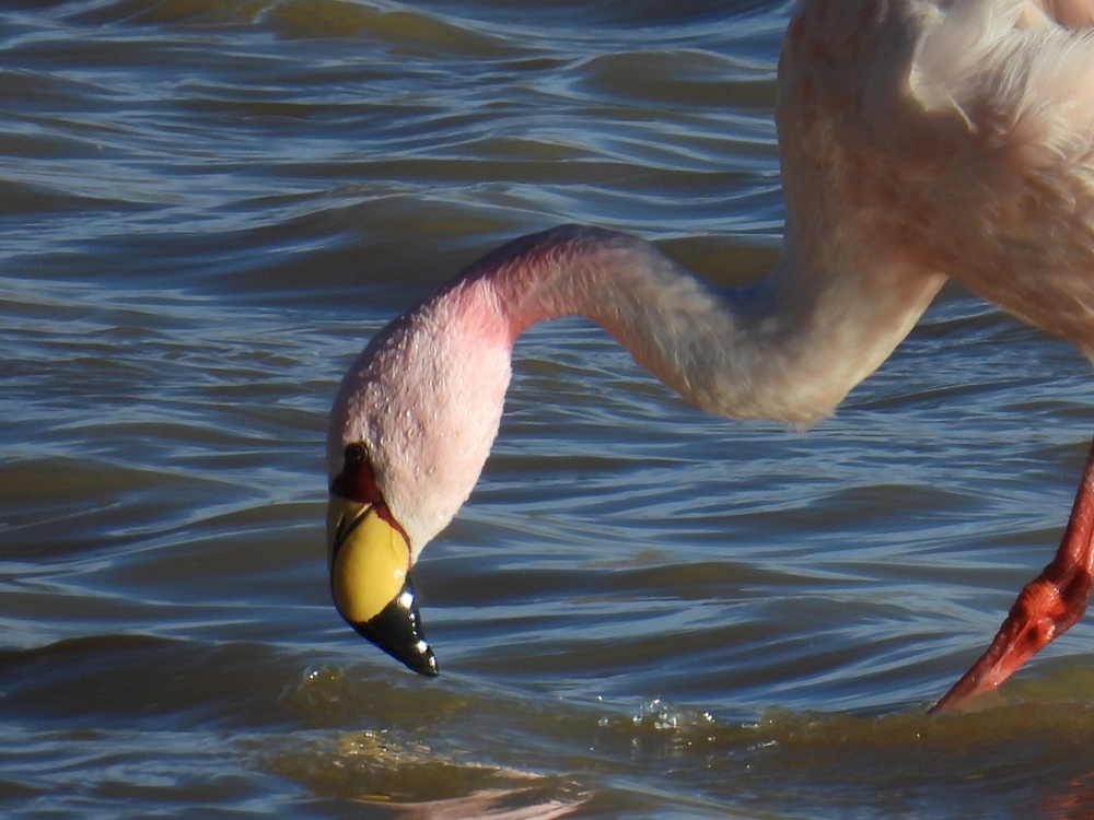 DSCN5585.JPG