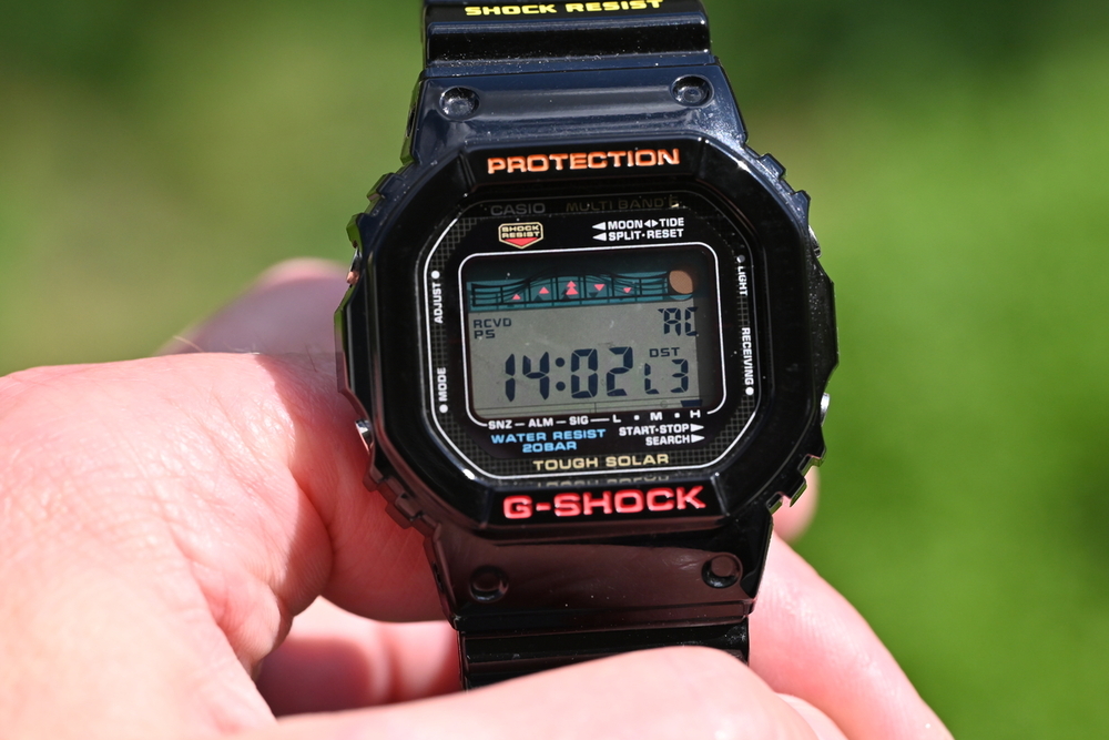 DSC_3230.JPG