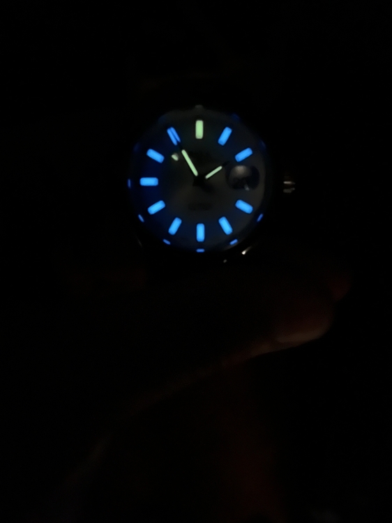 IMG_0298.thumb.jpeg.27a47c709b119256540b000833abcd8b.jpeg